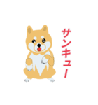 柴犬【しばぞうくん・まめぞうくん】☆☆☆（個別スタンプ：8）