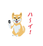 柴犬【しばぞうくん・まめぞうくん】☆☆☆（個別スタンプ：13）