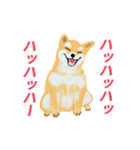 柴犬【しばぞうくん・まめぞうくん】☆☆☆（個別スタンプ：30）