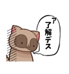 むちゃたぬきのLineスタンプ（個別スタンプ：2）