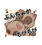 むちゃたぬきのLineスタンプ（個別スタンプ：12）