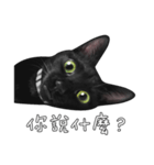 苦悩の黒猫（グリーンの目Ver.）（個別スタンプ：4）