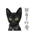 苦悩の黒猫（グリーンの目Ver.）（個別スタンプ：6）