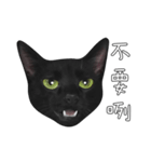 苦悩の黒猫（グリーンの目Ver.）（個別スタンプ：18）