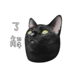 苦悩の黒猫（グリーンの目Ver.）（個別スタンプ：20）