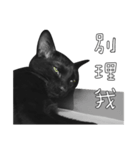 苦悩の黒猫（グリーンの目Ver.）（個別スタンプ：38）