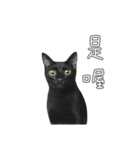 苦悩の黒猫（グリーンの目Ver.）（個別スタンプ：40）