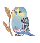 セキセイインコの楽しいスタンプセット（個別スタンプ：4）