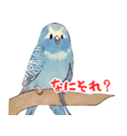 セキセイインコの楽しいスタンプセット（個別スタンプ：9）