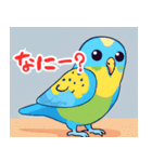 セキセイインコの楽しいスタンプセット（個別スタンプ：13）