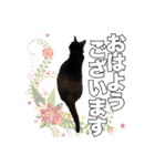 黒猫ジジくんの日常会話【改訂版】（個別スタンプ：3）