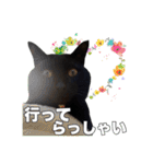 黒猫ジジくんの日常会話【改訂版】（個別スタンプ：5）