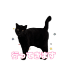 黒猫ジジくんの日常会話【改訂版】（個別スタンプ：6）