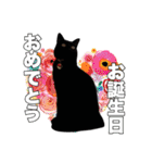 黒猫ジジくんの日常会話【改訂版】（個別スタンプ：18）