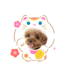ラピスタンプ☆（個別スタンプ：6）