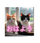 猫の汎用的な日常のあいさつ（個別スタンプ：5）