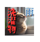 猫の汎用的な日常のあいさつ（個別スタンプ：12）