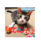 猫の汎用的な日常のあいさつ（個別スタンプ：21）