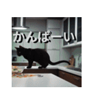 猫の汎用的な日常のあいさつ（個別スタンプ：25）