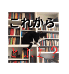 猫の汎用的な日常のあいさつ（個別スタンプ：27）