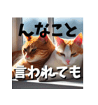 猫の汎用的な日常のあいさつ（個別スタンプ：34）