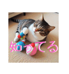 猫の汎用的な日常のあいさつ（個別スタンプ：39）