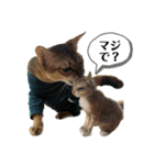 猫スタンプ・りっくん（個別スタンプ：21）