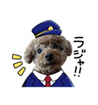 M家のわんにゃんスタンプ（個別スタンプ：8）