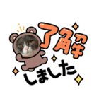 M家のわんにゃんスタンプ（個別スタンプ：12）
