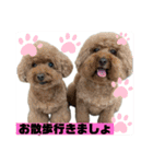 M家のわんにゃんスタンプ（個別スタンプ：15）