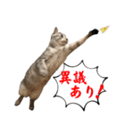 4歳になったぎんたろす（個別スタンプ：2）