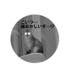 4歳になったぎんたろす（個別スタンプ：13）