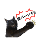 黒猫じゅんじ3（個別スタンプ：1）