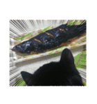 黒猫じゅんじ3（個別スタンプ：5）