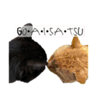 黒猫じゅんじ3（個別スタンプ：9）