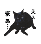 黒猫じゅんじ3（個別スタンプ：10）