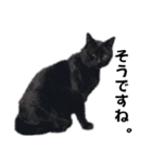 黒猫じゅんじ3（個別スタンプ：13）