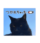 黒猫じゅんじ3（個別スタンプ：18）