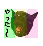 黒猫じゅんじ3（個別スタンプ：20）