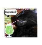 黒猫じゅんじ3（個別スタンプ：21）