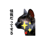 黒猫じゅんじ3（個別スタンプ：32）