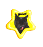 黒猫じゅんじ3（個別スタンプ：35）