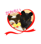 黒猫じゅんじ3（個別スタンプ：37）