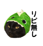 黒猫じゅんじ3（個別スタンプ：40）