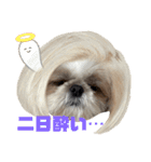 シーズー犬の麦ちゃんと天くんです！③（個別スタンプ：27）