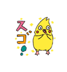 オカメインコひまちゃんの2文字スタンプ（個別スタンプ：19）