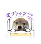 2024きなこの2月（個別スタンプ：3）