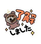 2024きなこの2月（個別スタンプ：9）