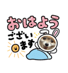 2024きなこの2月（個別スタンプ：20）