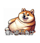 ドット絵 太っちょ柴犬（個別スタンプ：3）